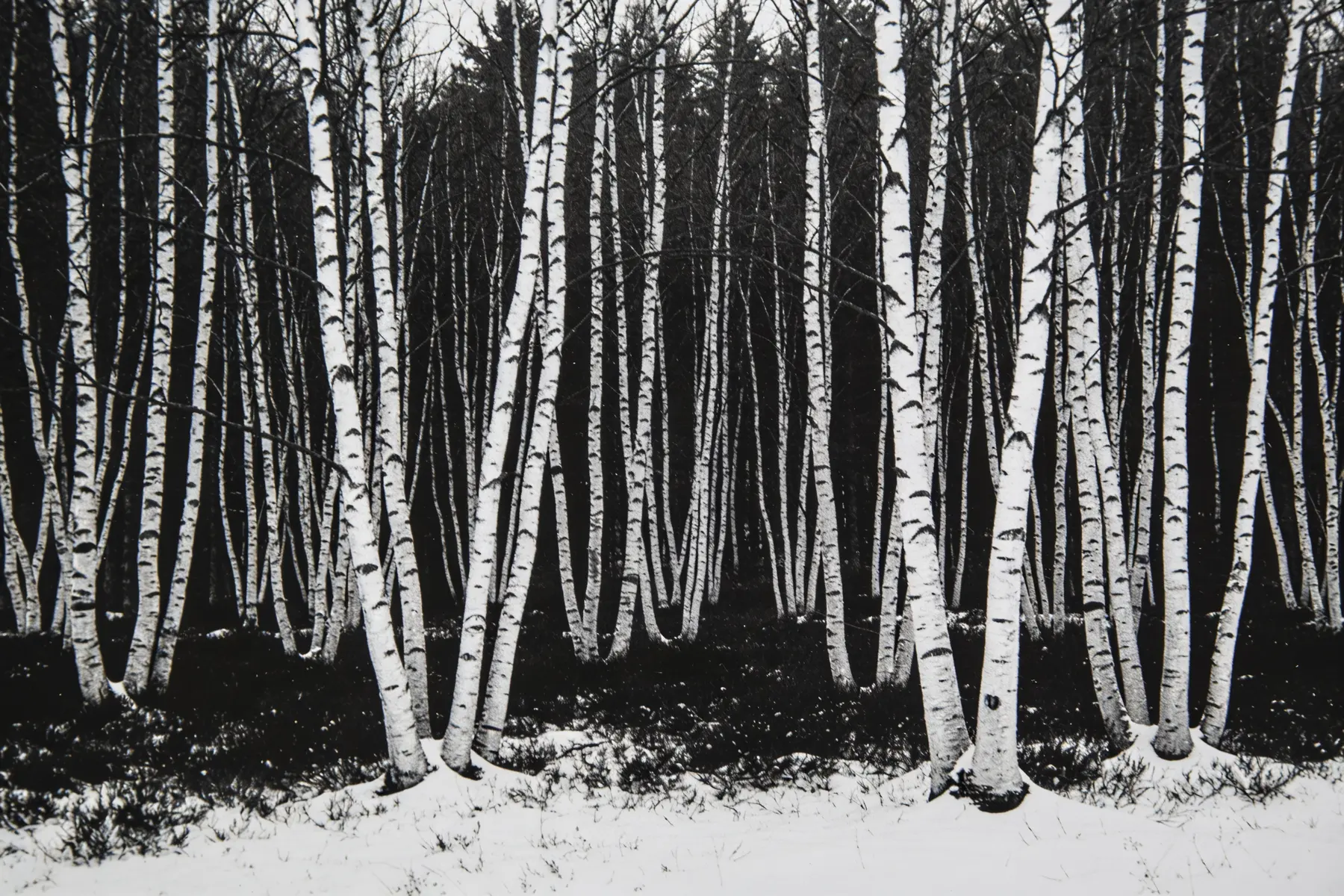 Winterschlag, Ruth Kellner, 2022